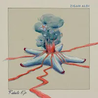 Zigan Aldi — Rebels — обложка